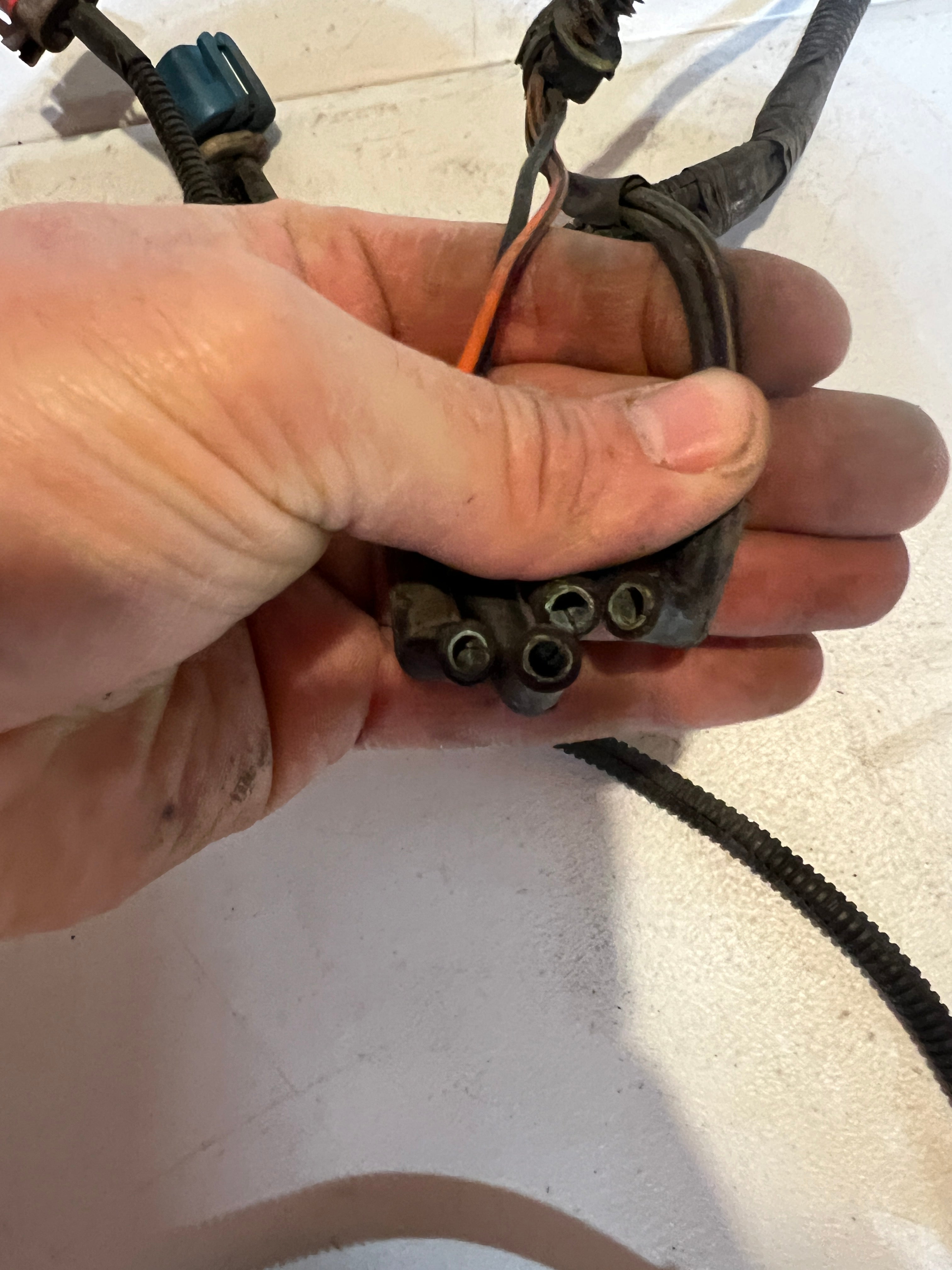 2003-2003 Dodge Ram 5.9L Cummins Passenger Headlamp Jumper Wiring