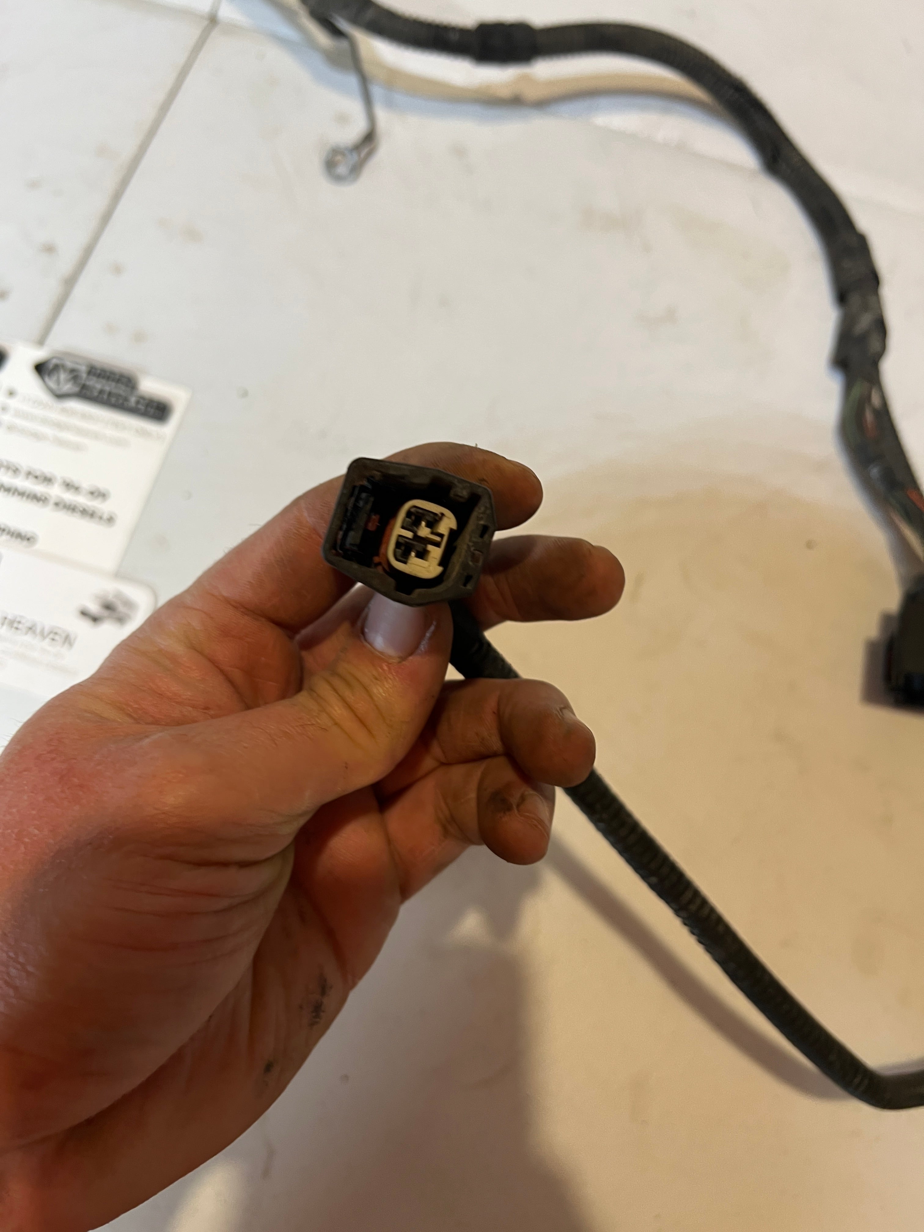2003-2003 Dodge Ram 5.9L Cummins Passenger Headlamp Jumper Wiring