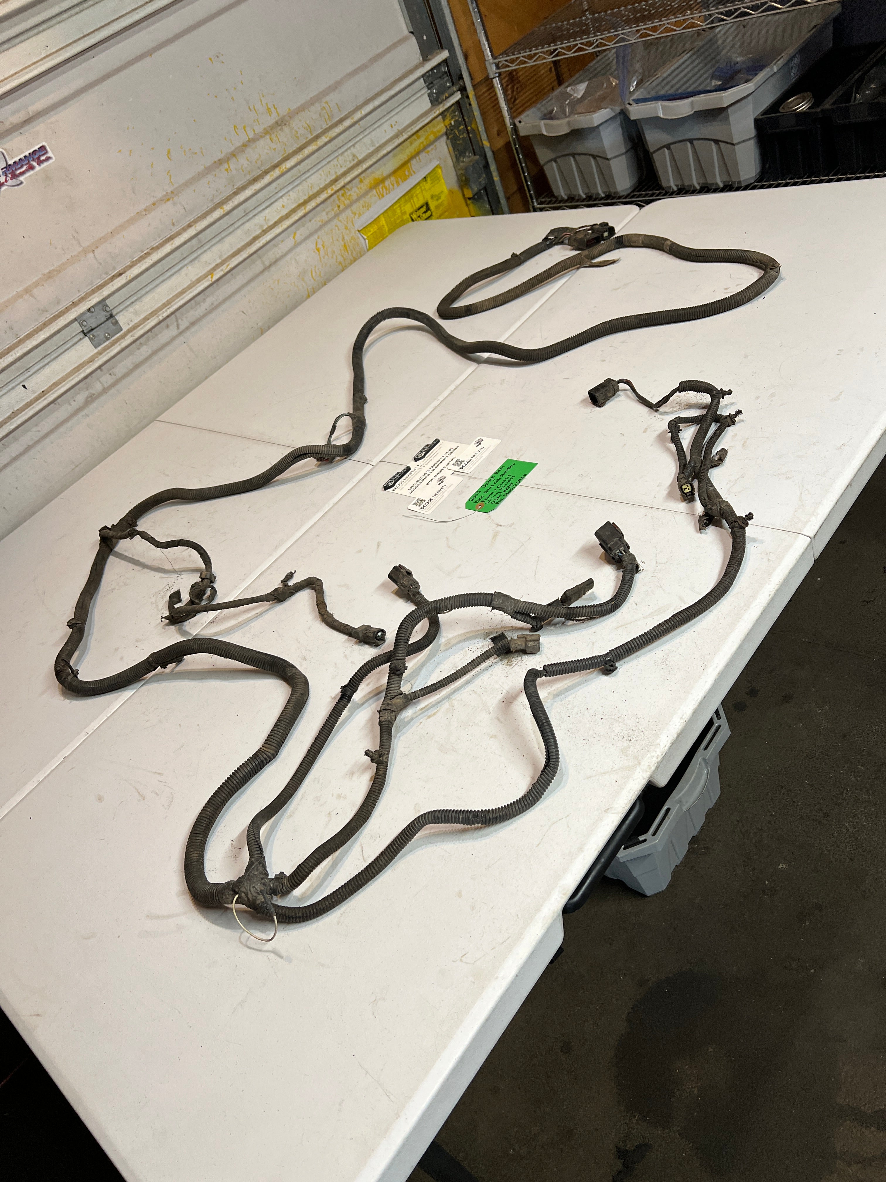 2003-2003 Dodge Ram 1500 Quad Cab SB Frame / Chassis Wiring Harness