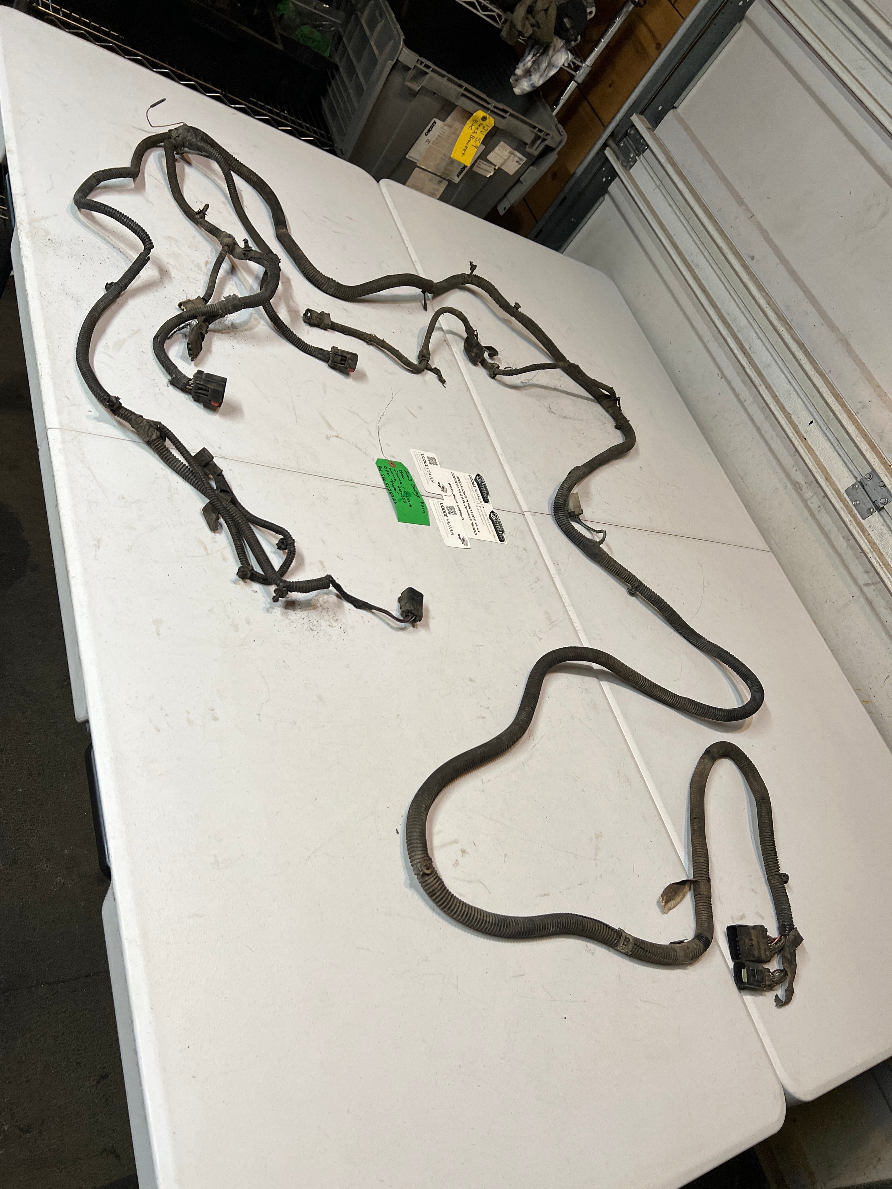2003-2003 Dodge Ram 1500 Quad Cab SB Frame / Chassis Wiring Harness