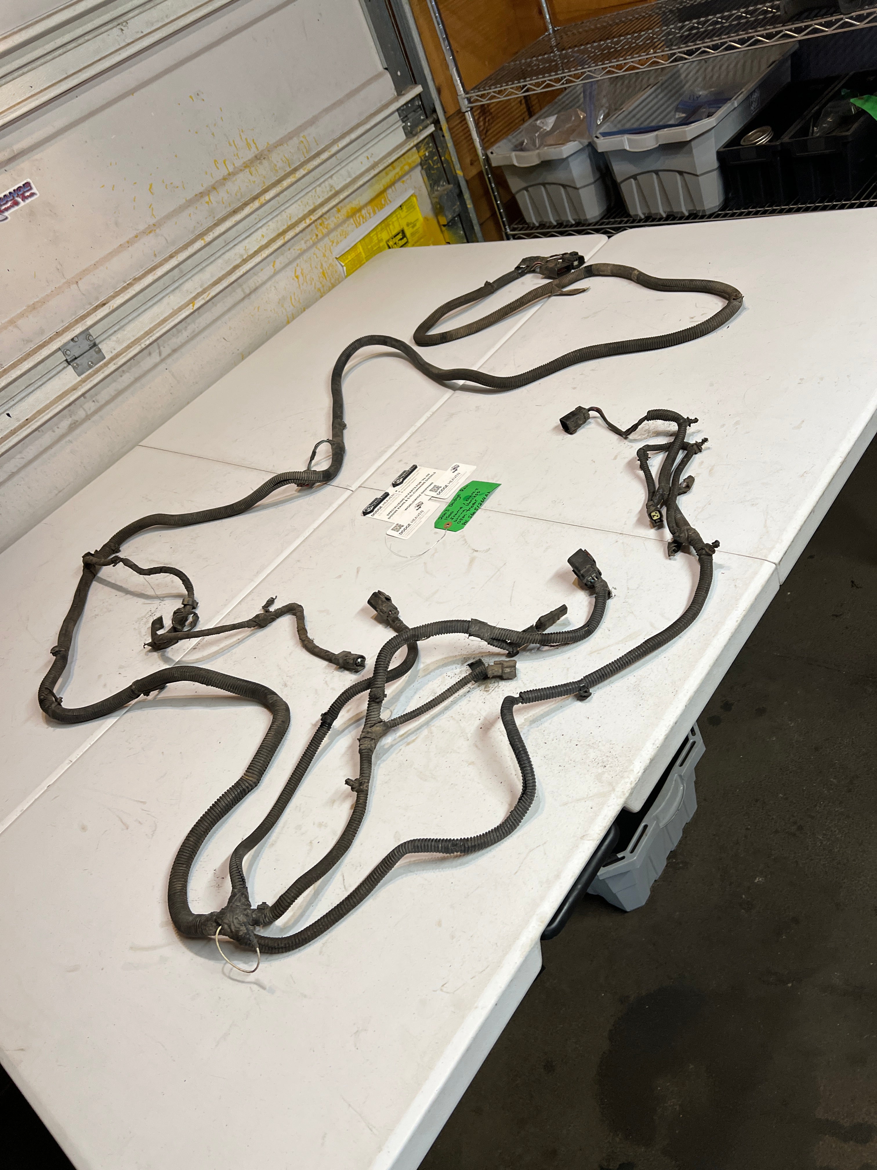 2003-2003 Dodge Ram 1500 Quad Cab SB Frame / Chassis Wiring Harness