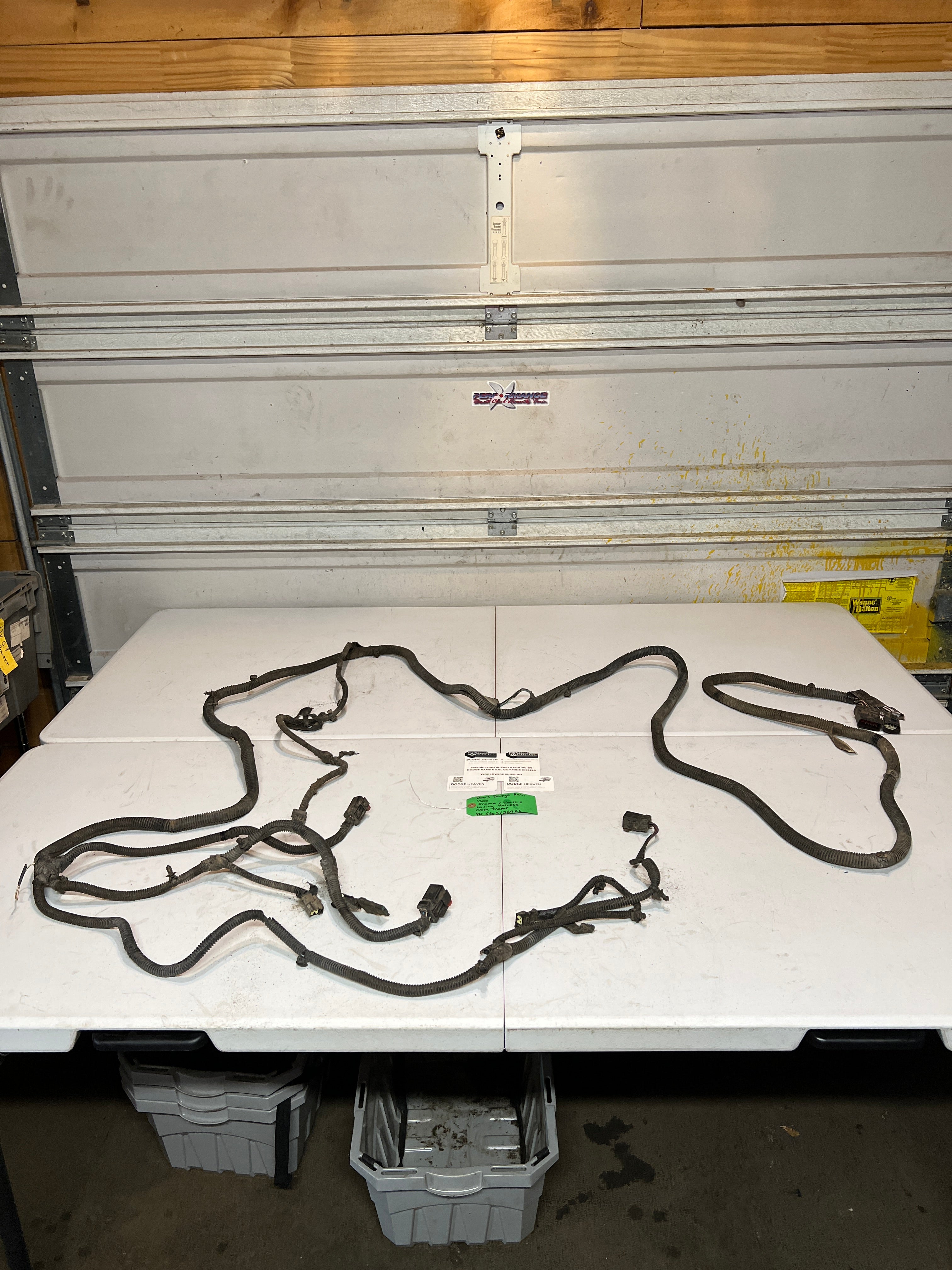 2003-2003 Dodge Ram 1500 Quad Cab SB Frame / Chassis Wiring Harness