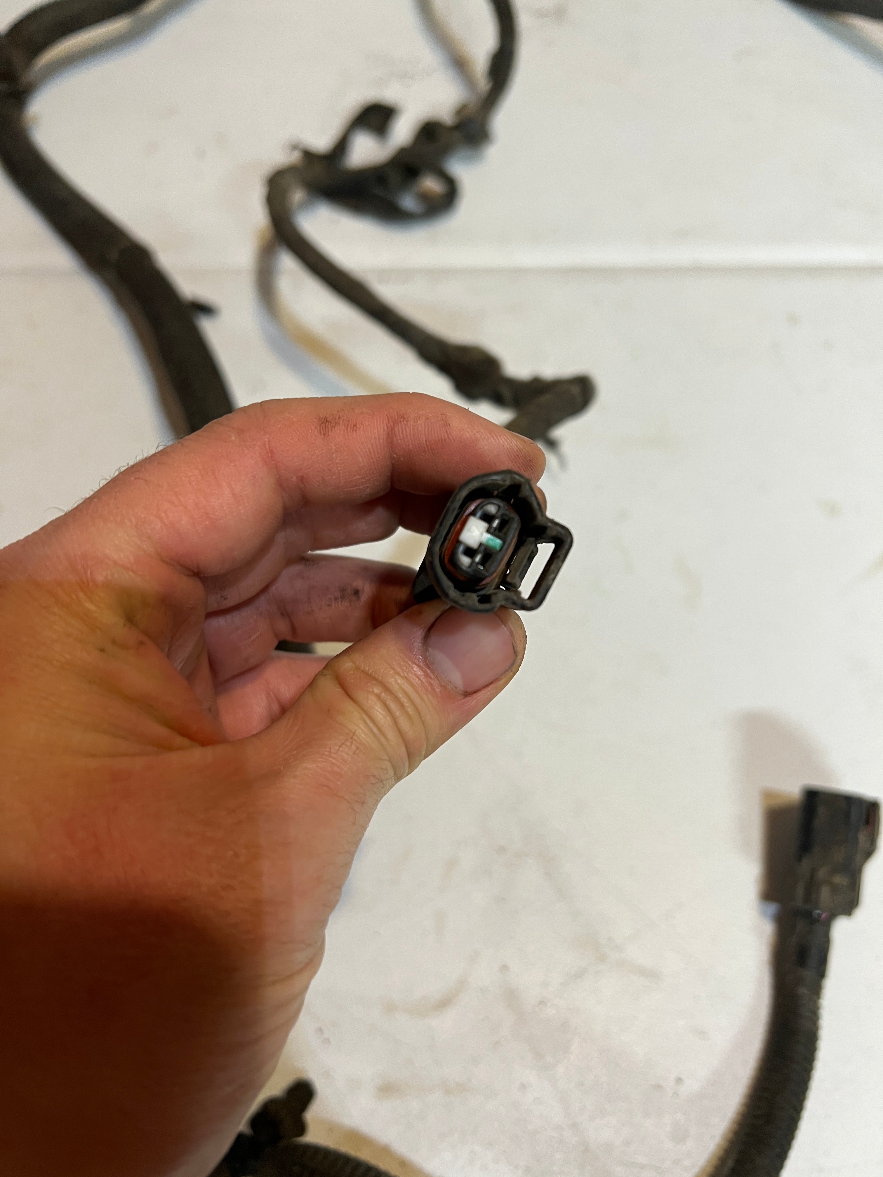 2003-2003 Dodge Ram 1500 Quad Cab SB Frame / Chassis Wiring Harness