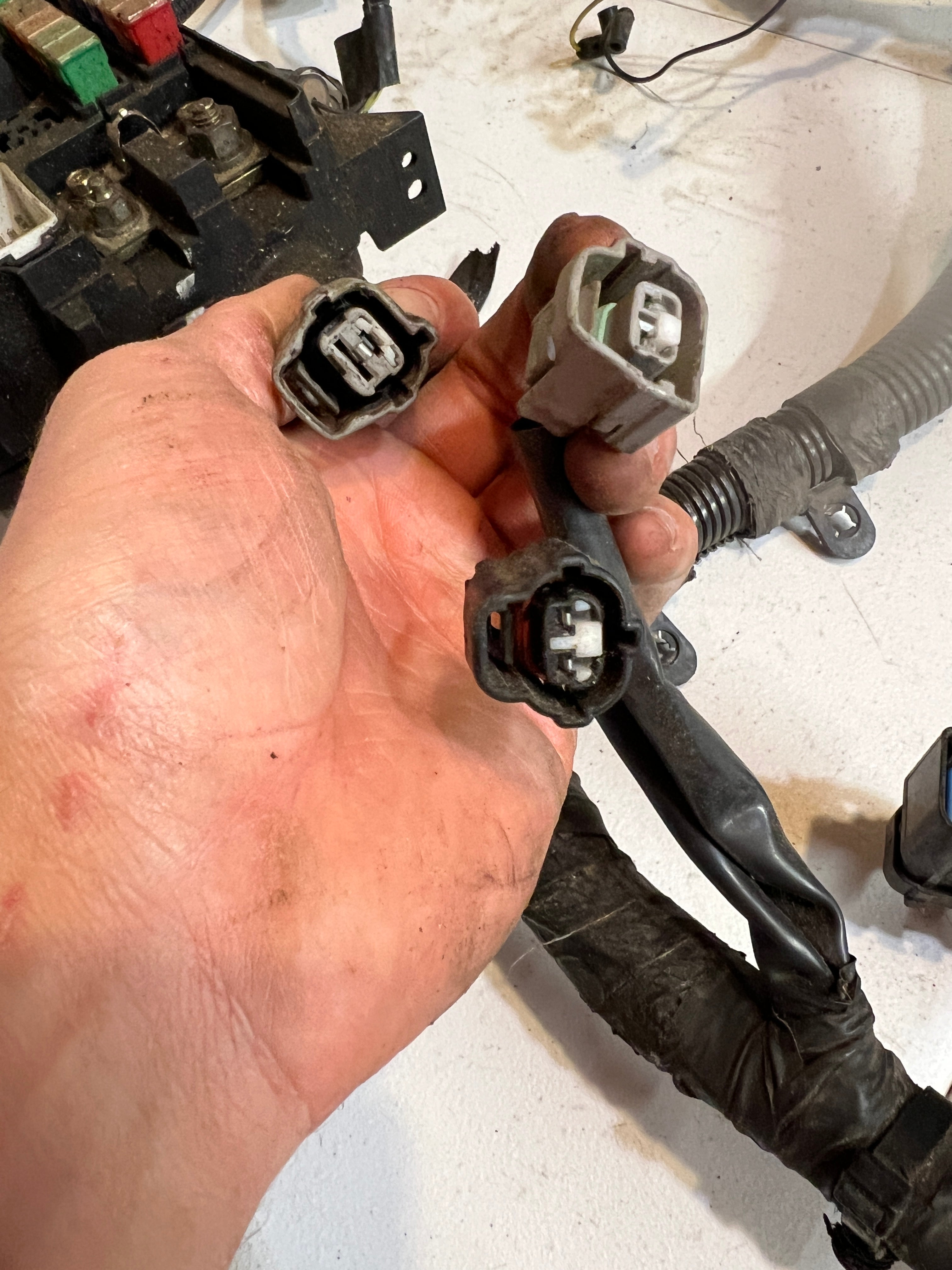 2000-2001 Dodge Ram 24V 5.9L Cummins Engine Bay Wiring Harness