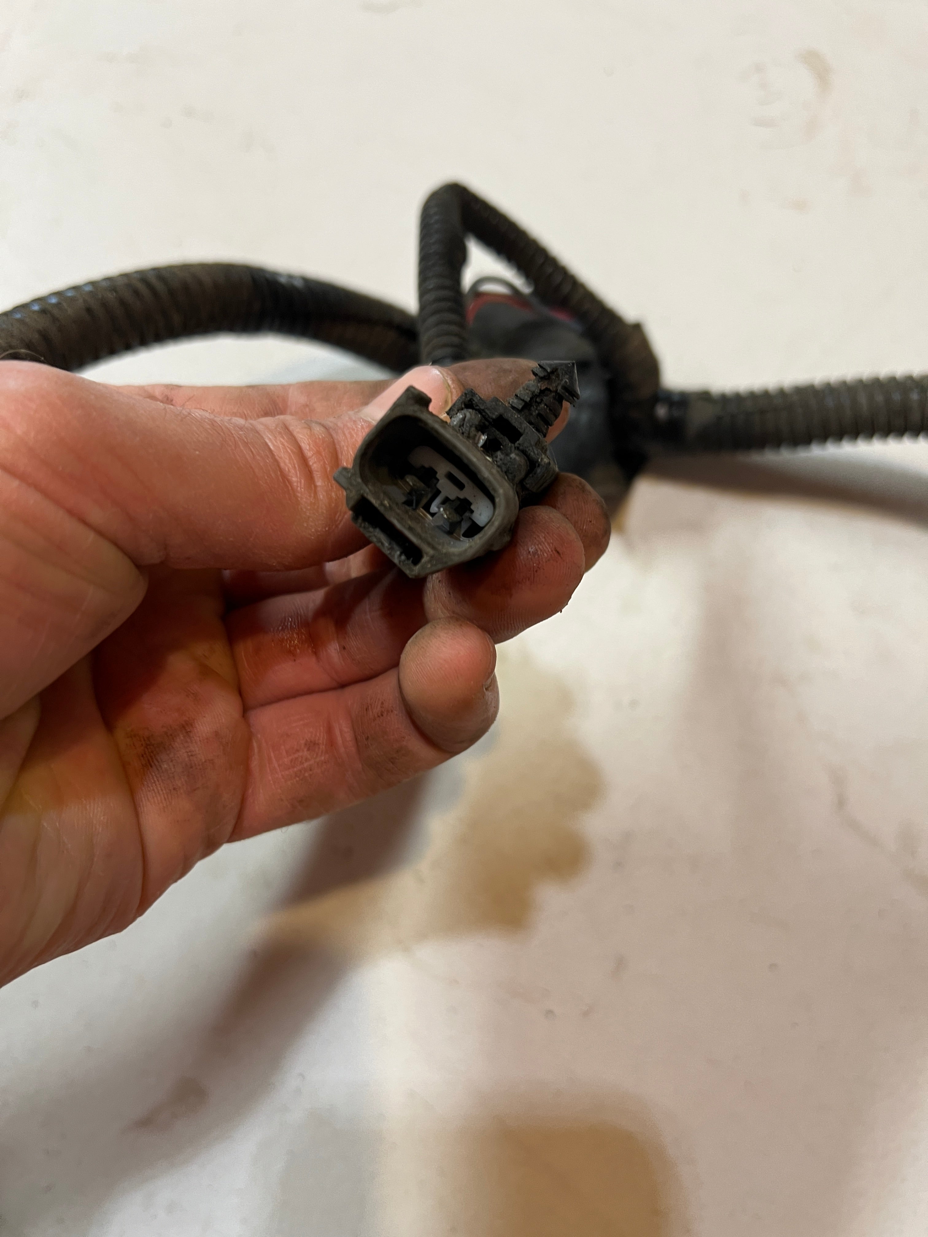 2000-2001 Dodge Ram 24V 5.9L Cummins Engine Bay Wiring Harness
