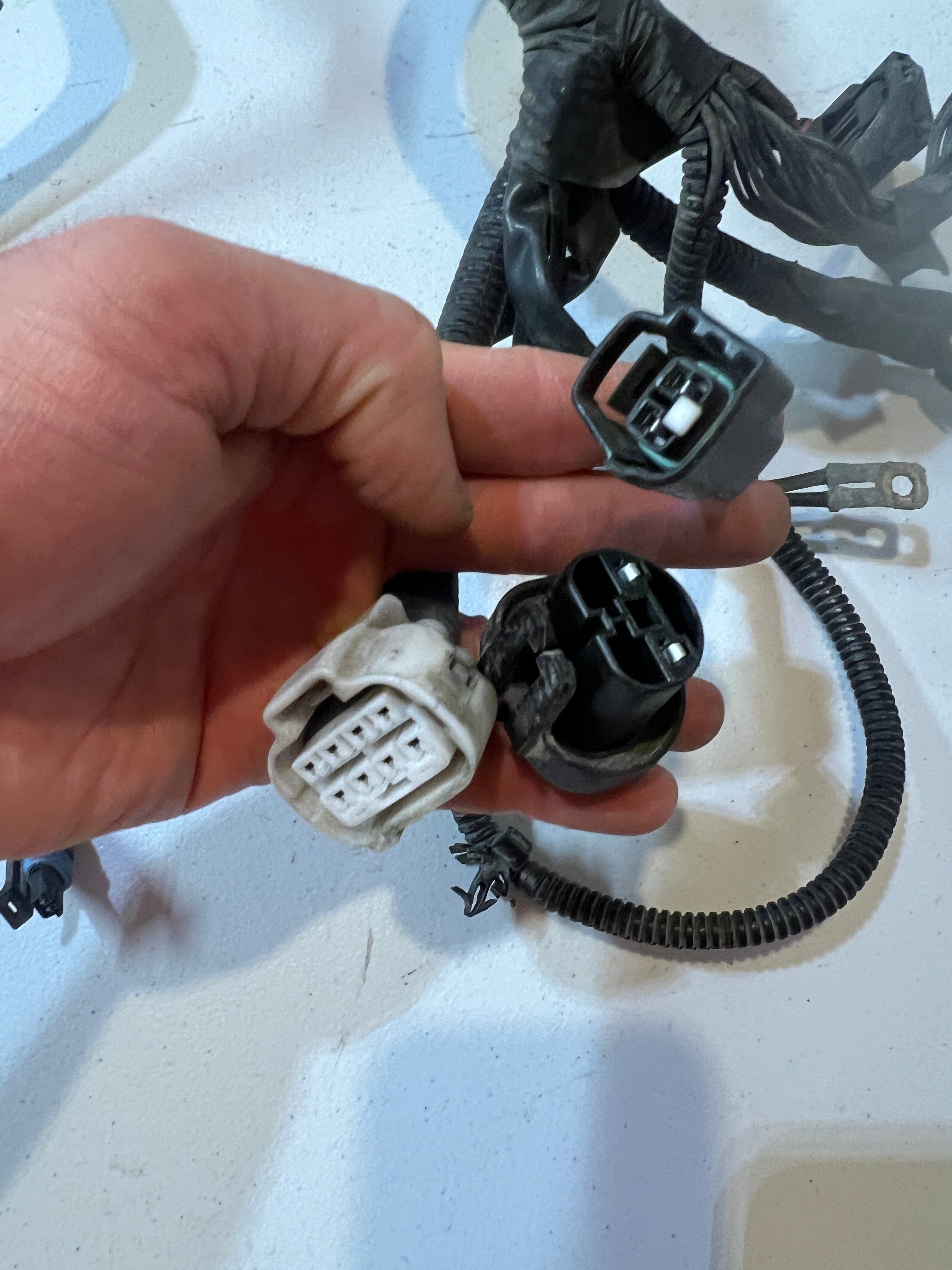 2000-2000 Dodge Ram 1500-3500 Gas Sport Engine Bay Wiring Harness