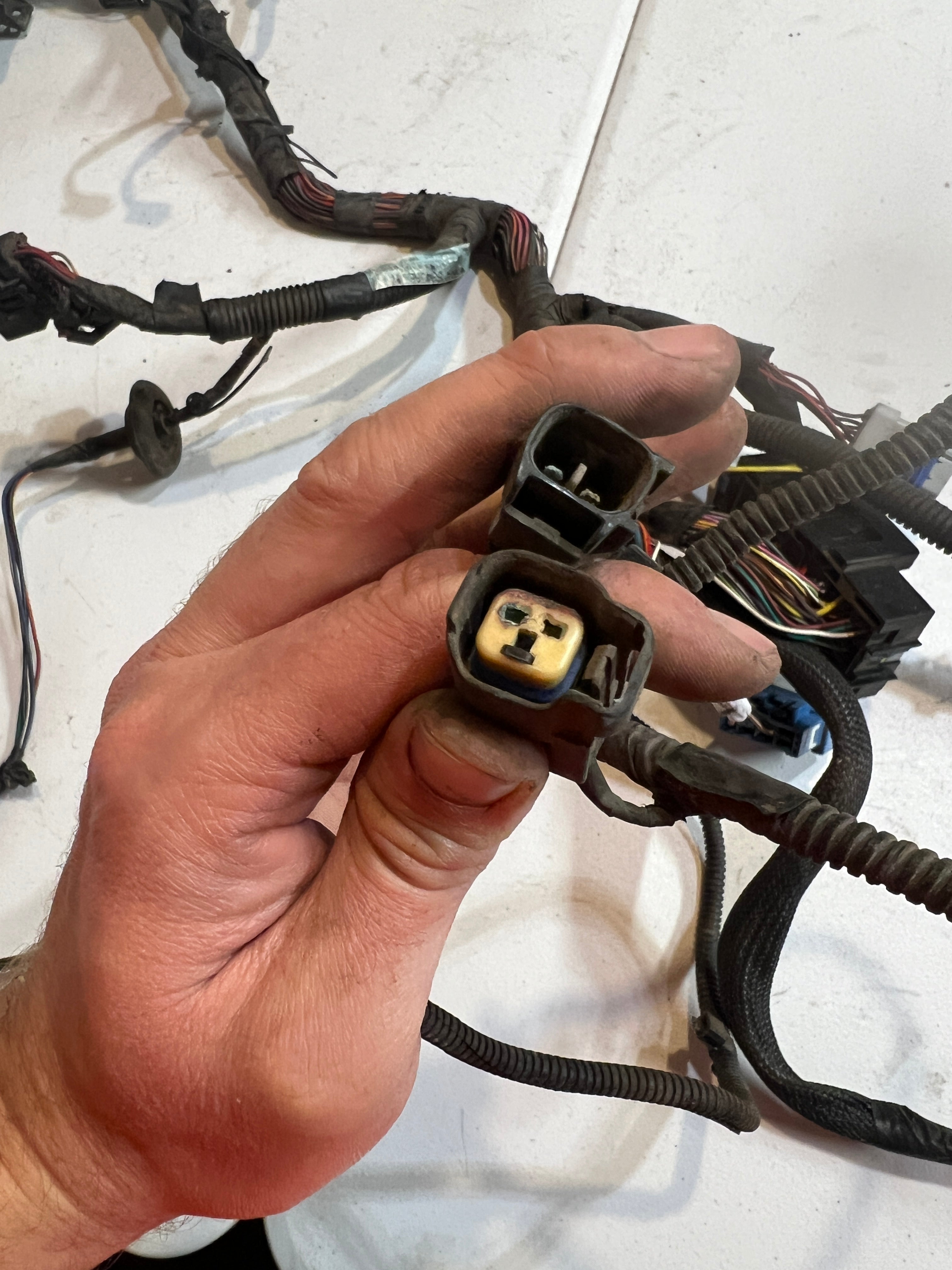 2000-2001 Dodge Ram 24V 5.9L Cummins Engine Bay Wiring Harness