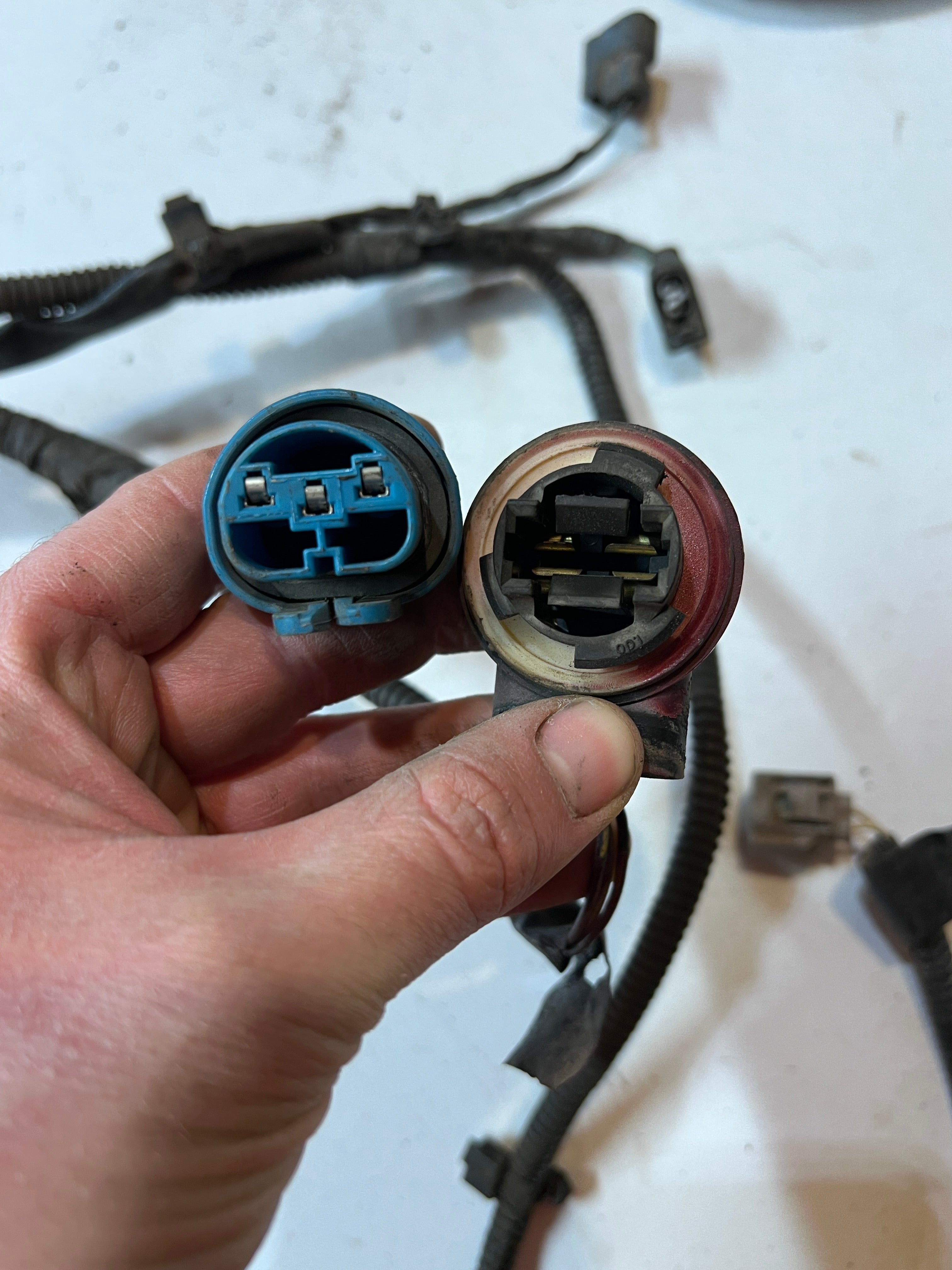 2000-2001 Dodge Ram 24V 5.9L Cummins Engine Bay Wiring Harness