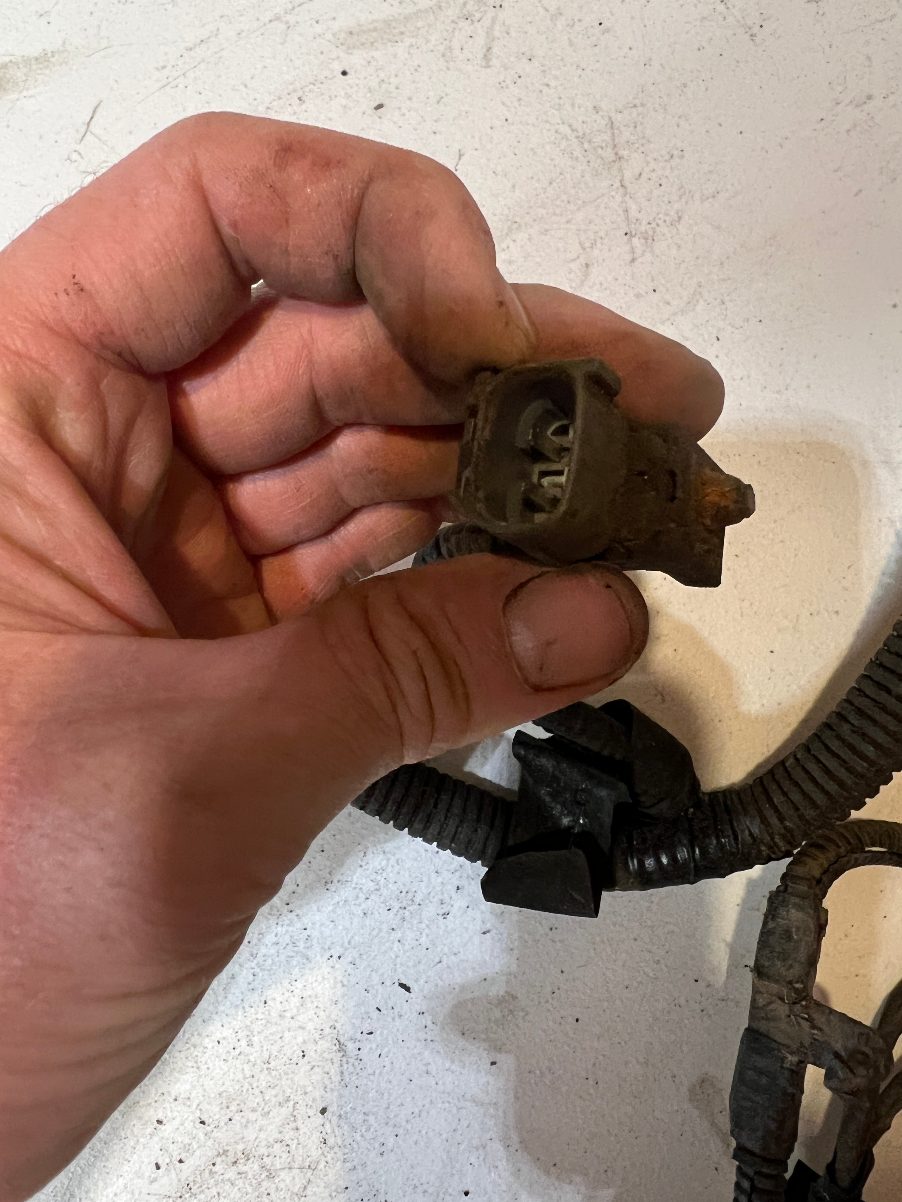 2000-2001 Dodge Ram 24V 5.9L Cummins Engine Bay Wiring Harness