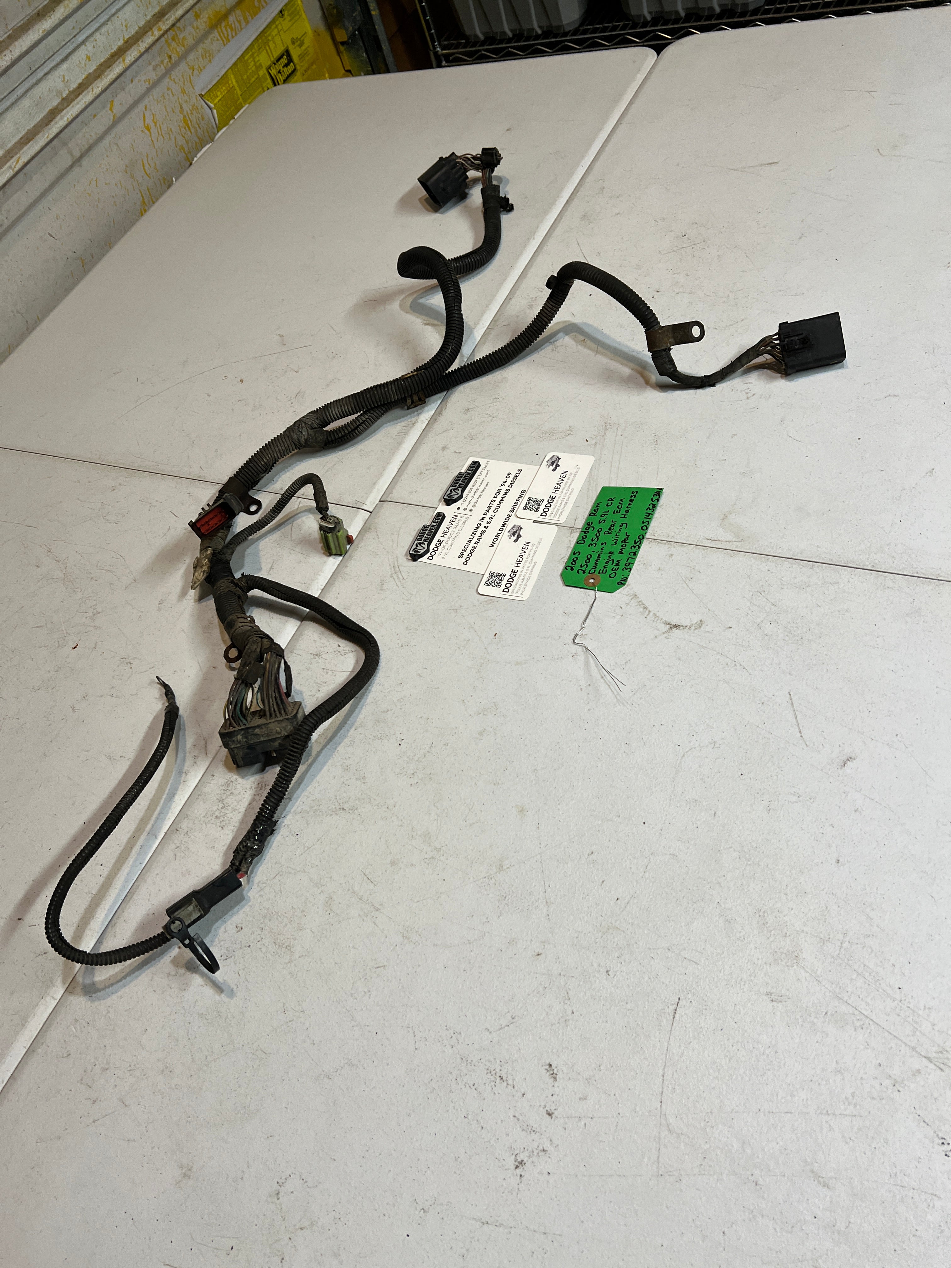 2005-2005 Dodge Ram 5.9L Cummins Rear ECm Engine Wiring Harness
