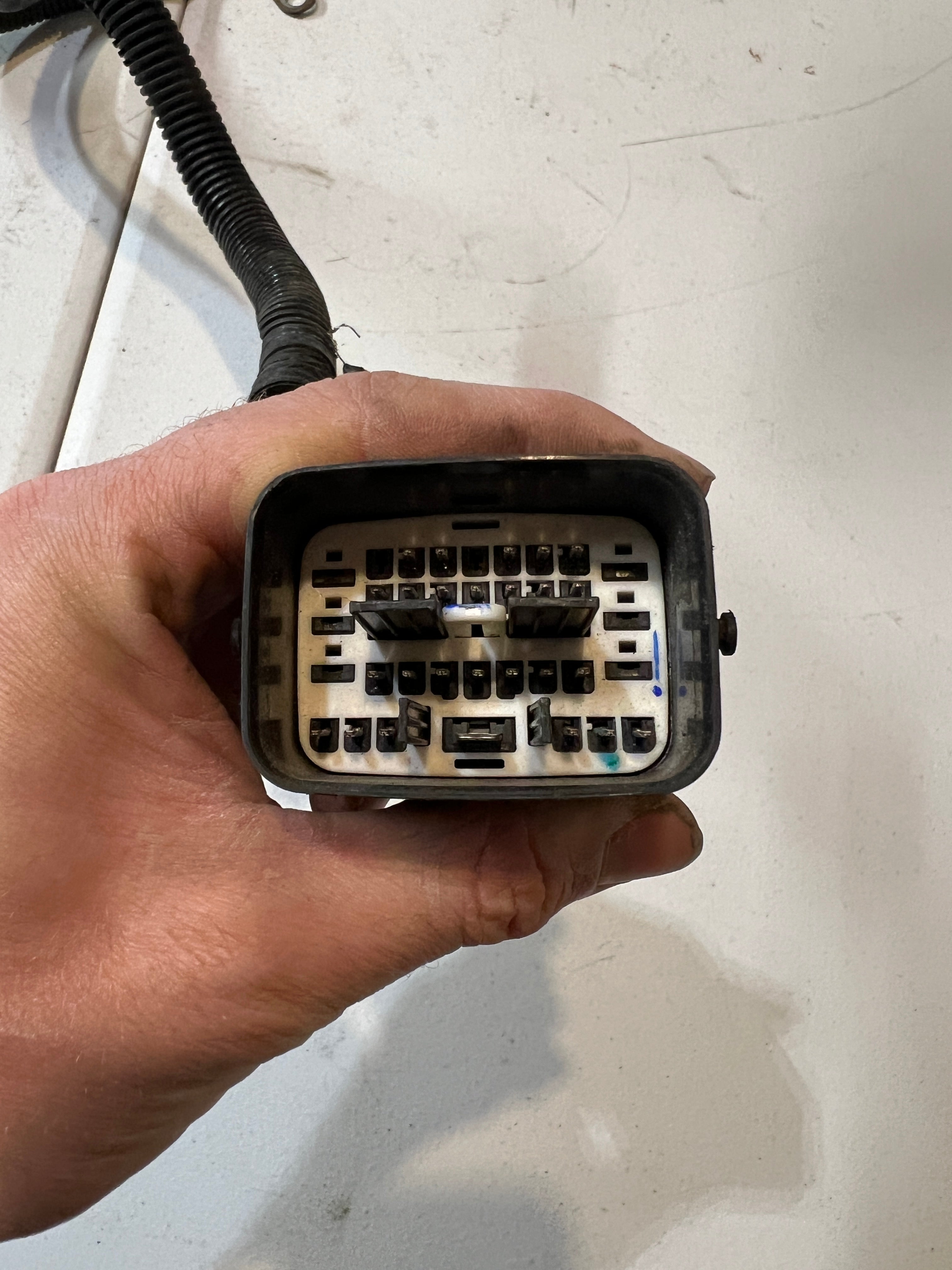 2005-2005 Dodge Ram 5.9L Cummins Rear ECm Engine Wiring Harness