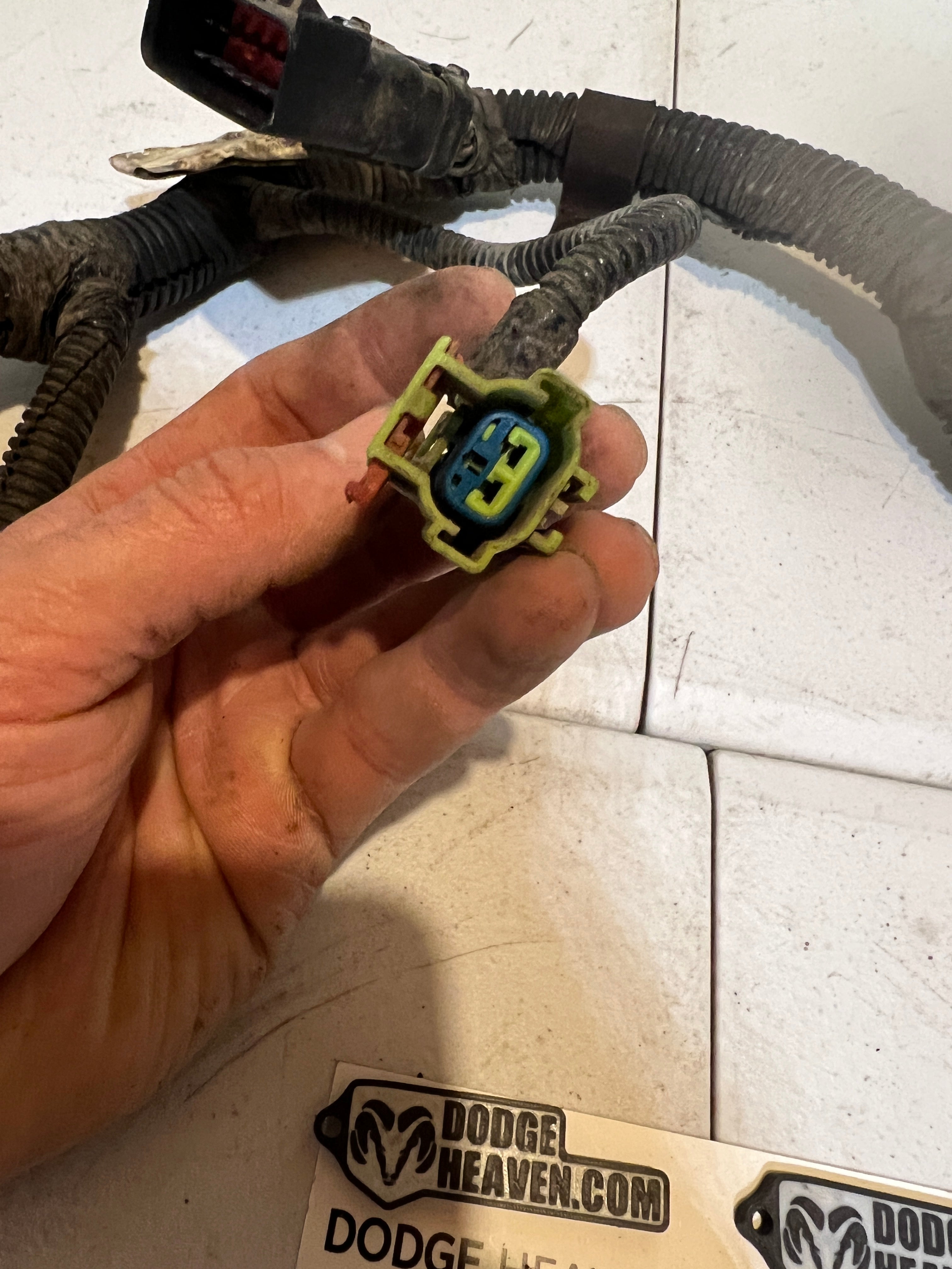 2005-2005 Dodge Ram 5.9L Cummins Rear ECm Engine Wiring Harness