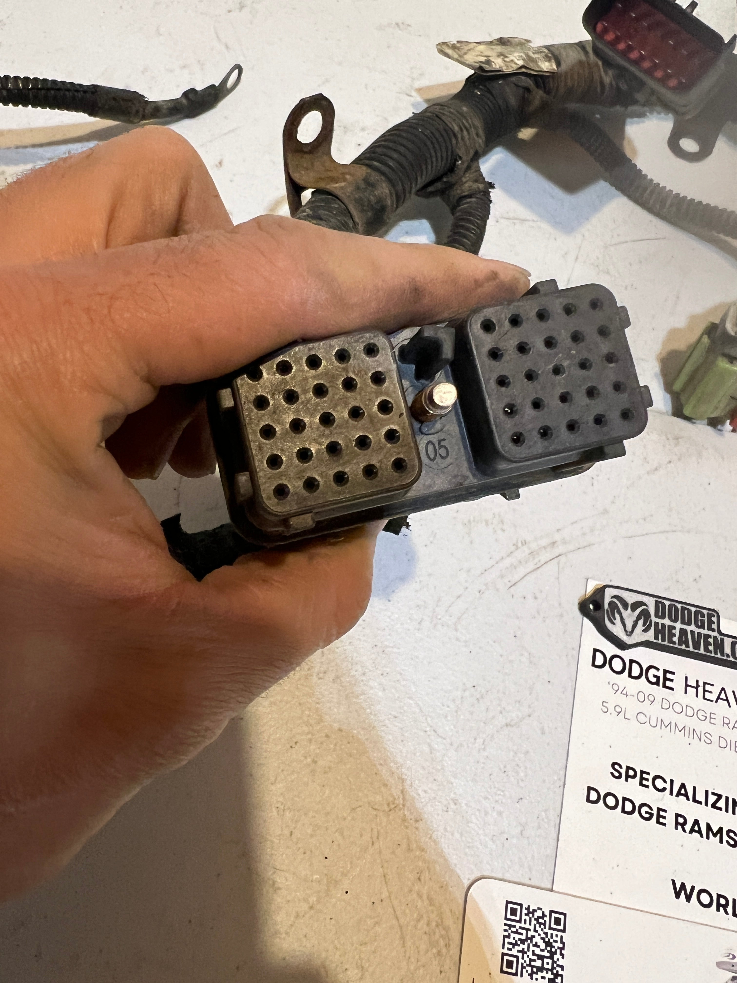 2005-2005 Dodge Ram 5.9L Cummins Rear ECm Engine Wiring Harness