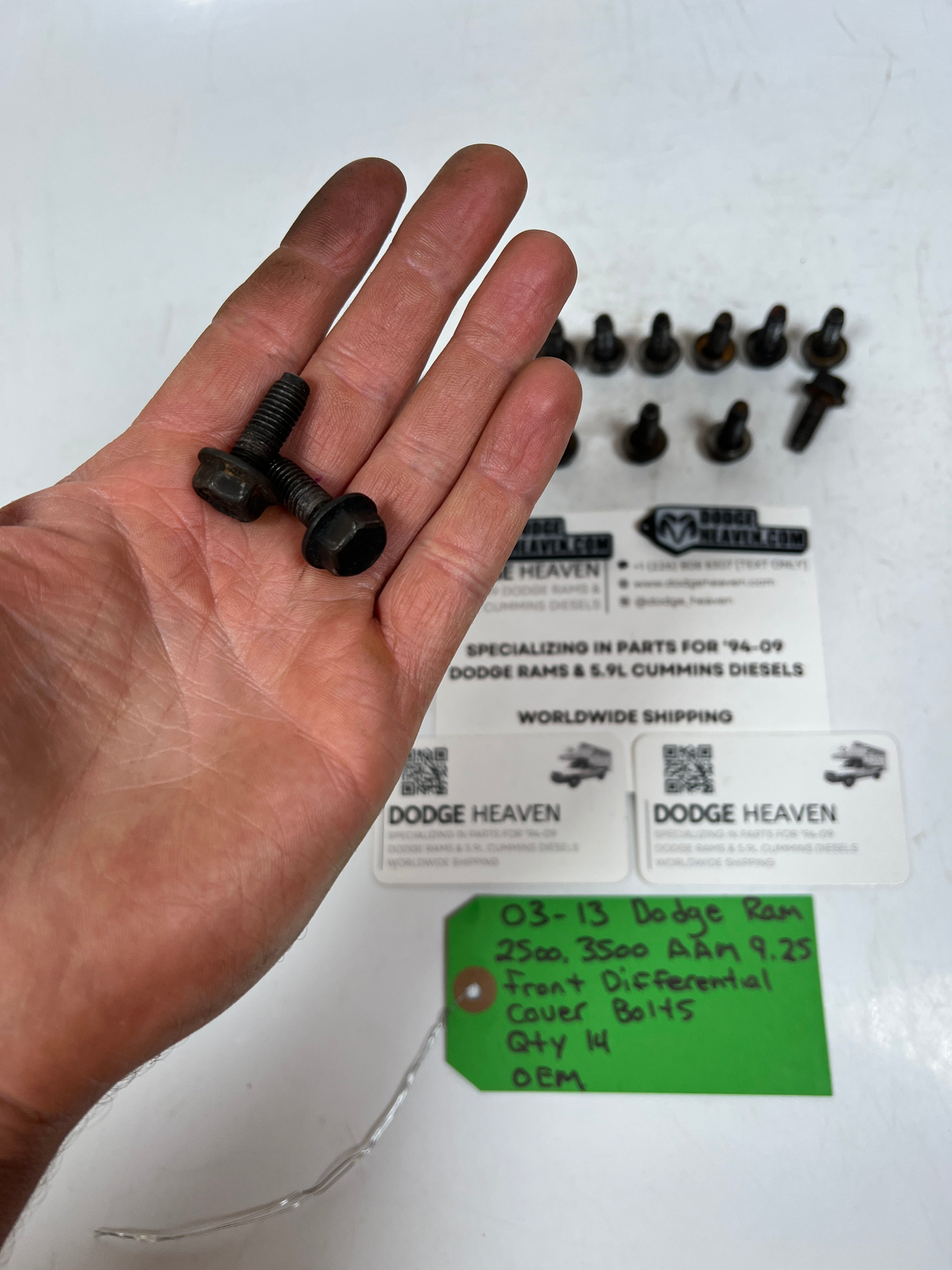 2003-2013 Dodge Ram AAM 9.25 Front Differential Cover Bolts