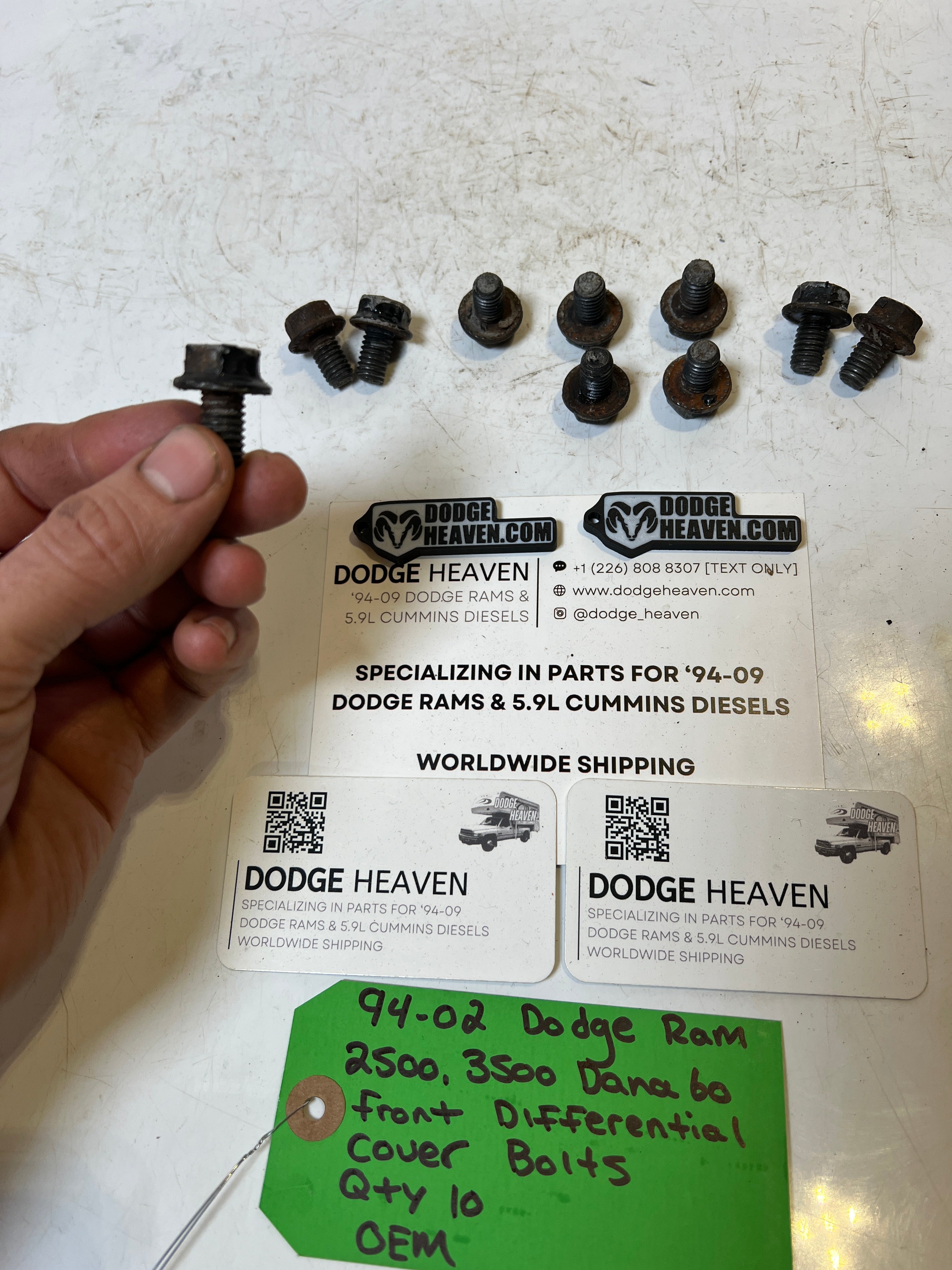 1994-2002 Dodge Ram Dana 60 Front Differential Cover Bolts QTY 10