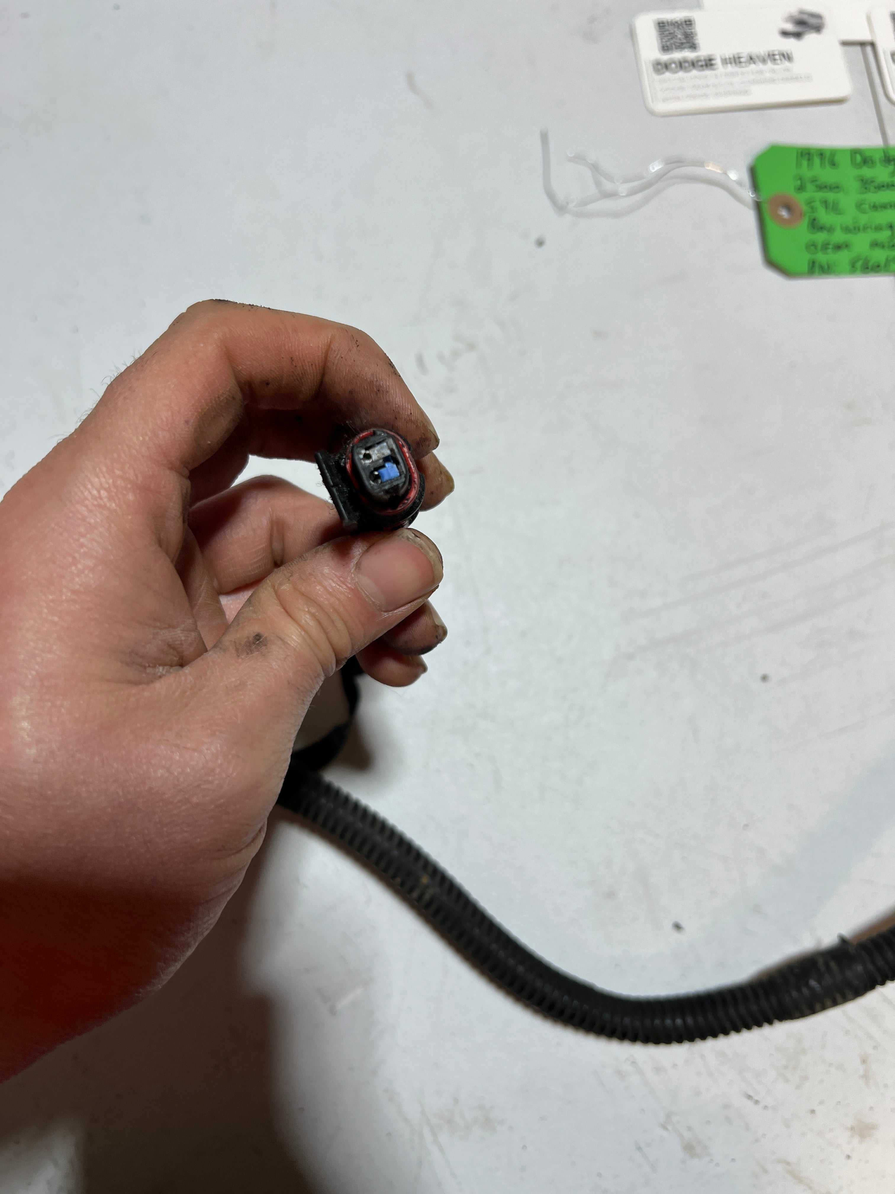 1996-1996 Dodge Ram 2500 3500 12 Valve 5.9L Cummins Engine Bay Wiring Harness