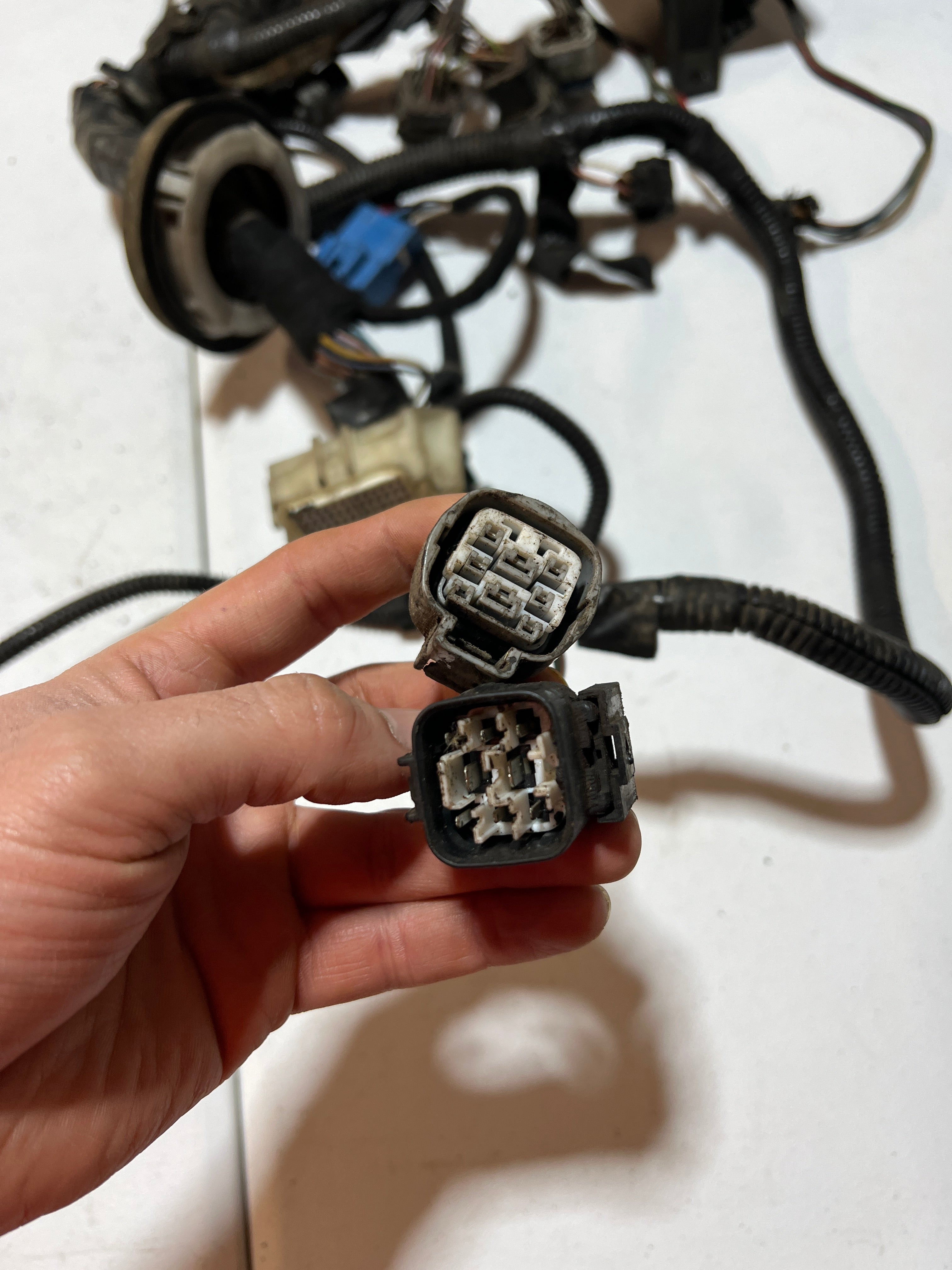 1996-1996 Dodge Ram 2500 3500 12 Valve 5.9L Cummins Engine Bay Wiring Harness