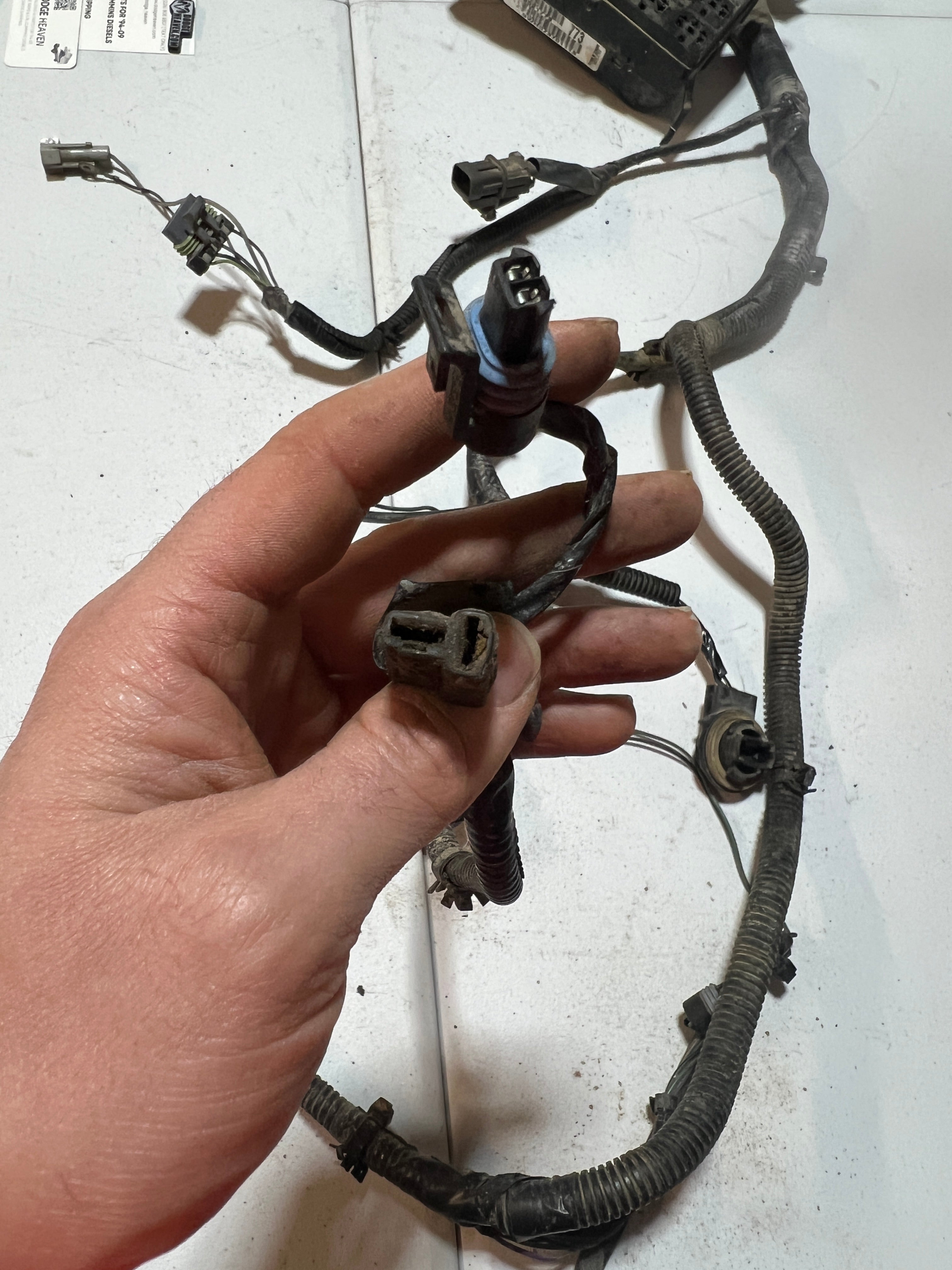 1997-1997 Dodge Ram 2500 3500 12V 5.9L Cummins Engine Bay Wiring Harness