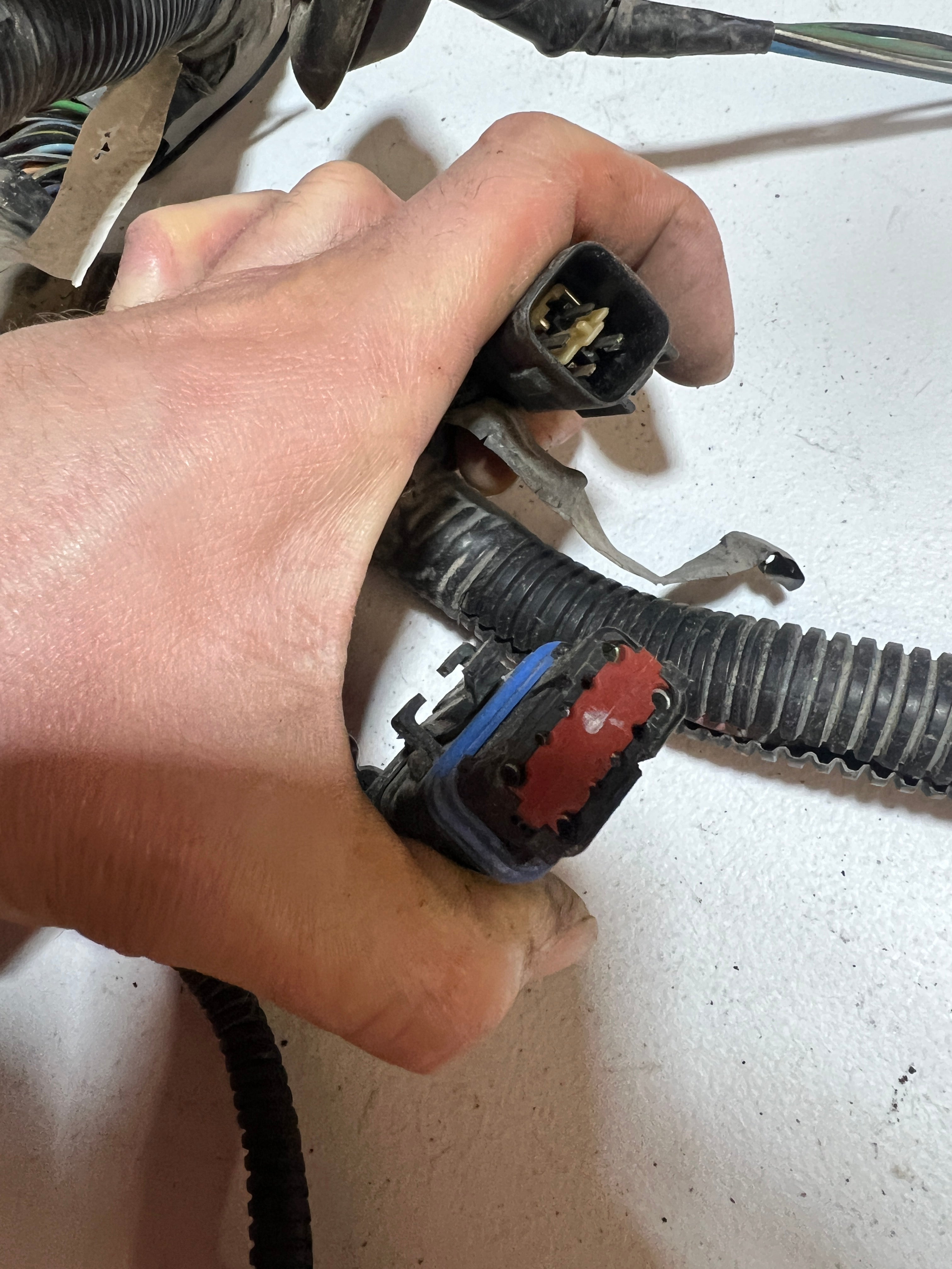 1997-1997 Dodge Ram 2500 3500 12V 5.9L Cummins Engine Bay Wiring Harness