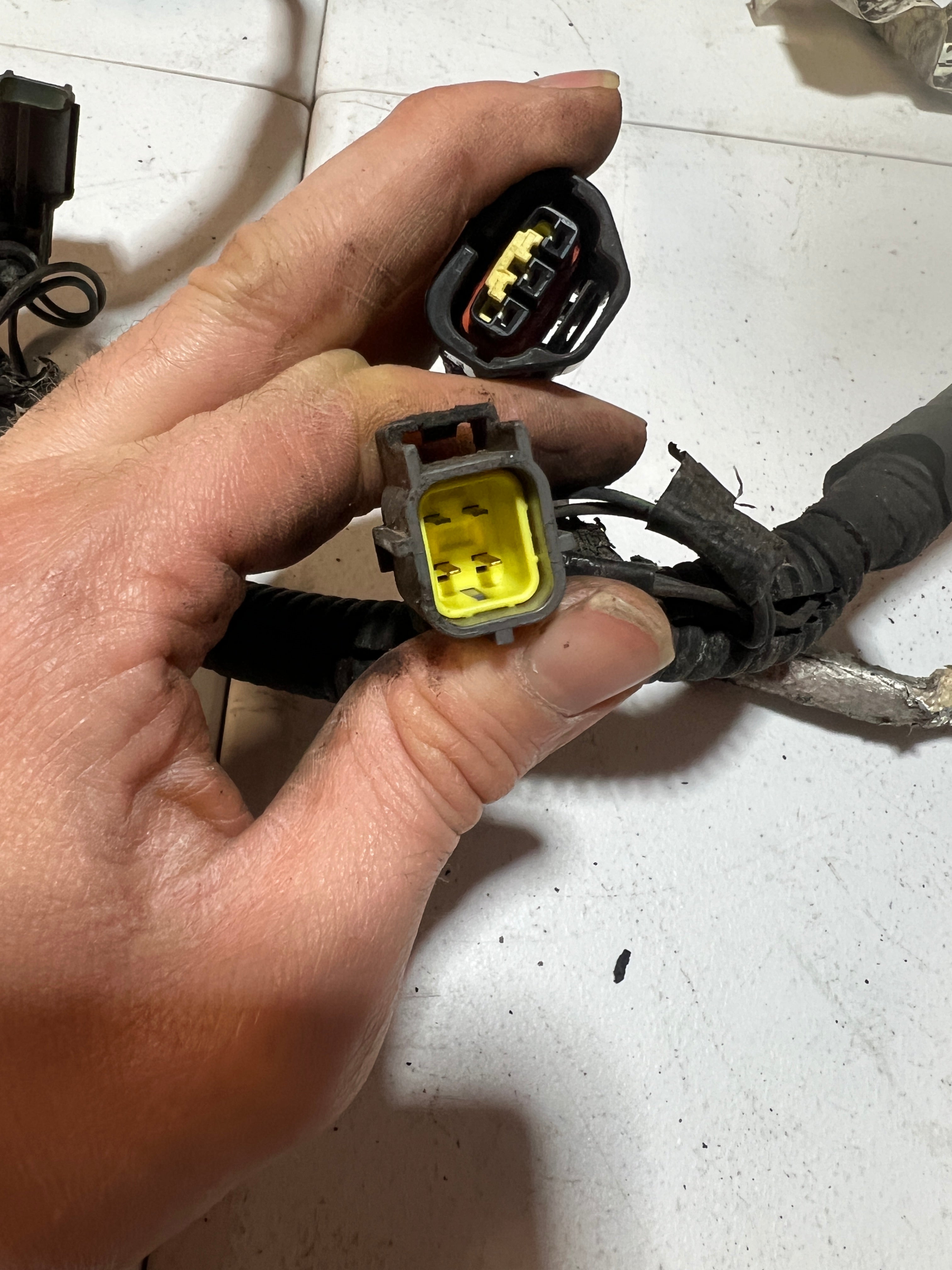 2005-2005 Dodge Ram 1500 4.7L Engine / Transmission Wiring Harness