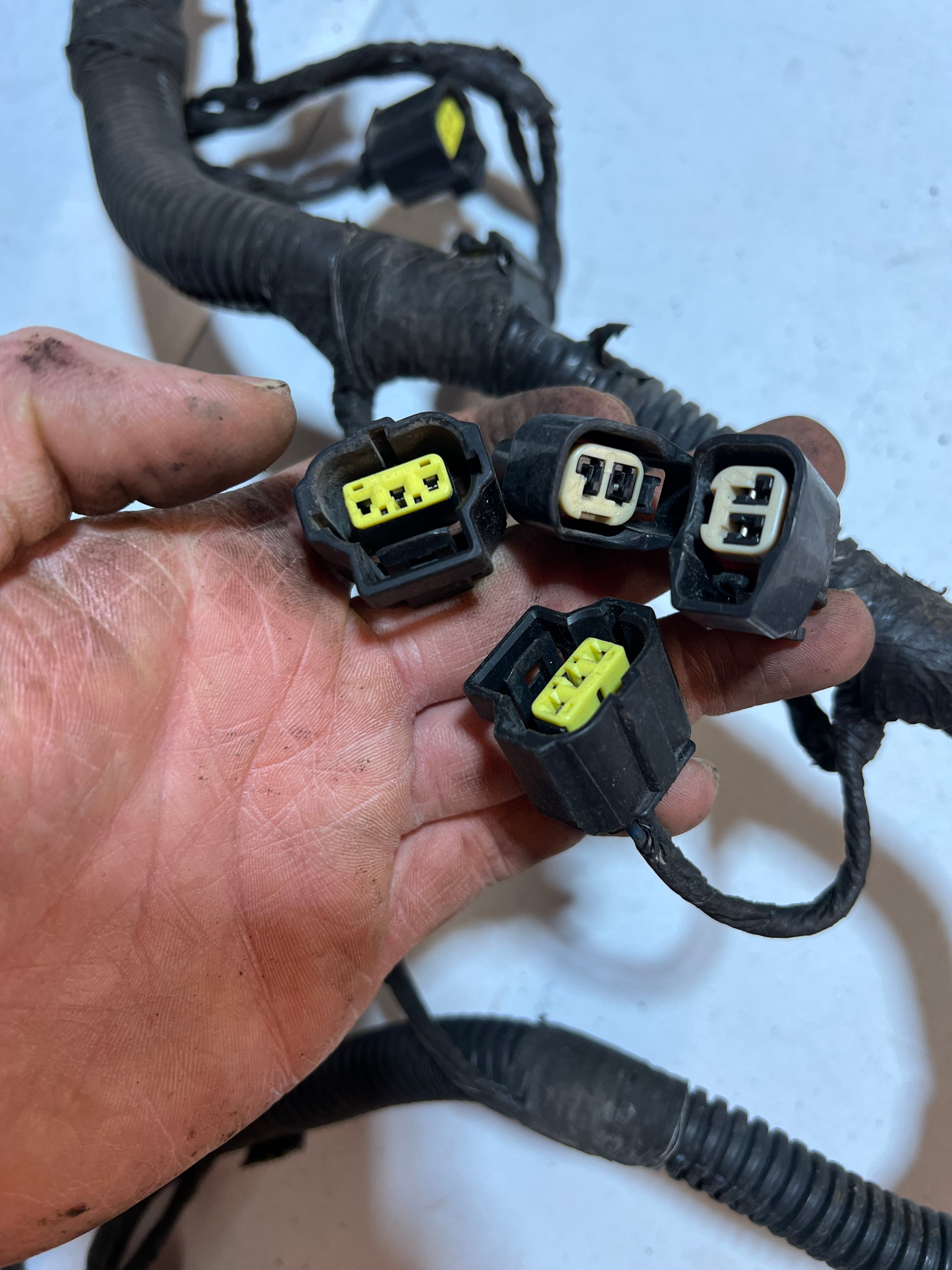 2005-2005 Dodge Ram 1500 4.7L Engine / Transmission Wiring Harness