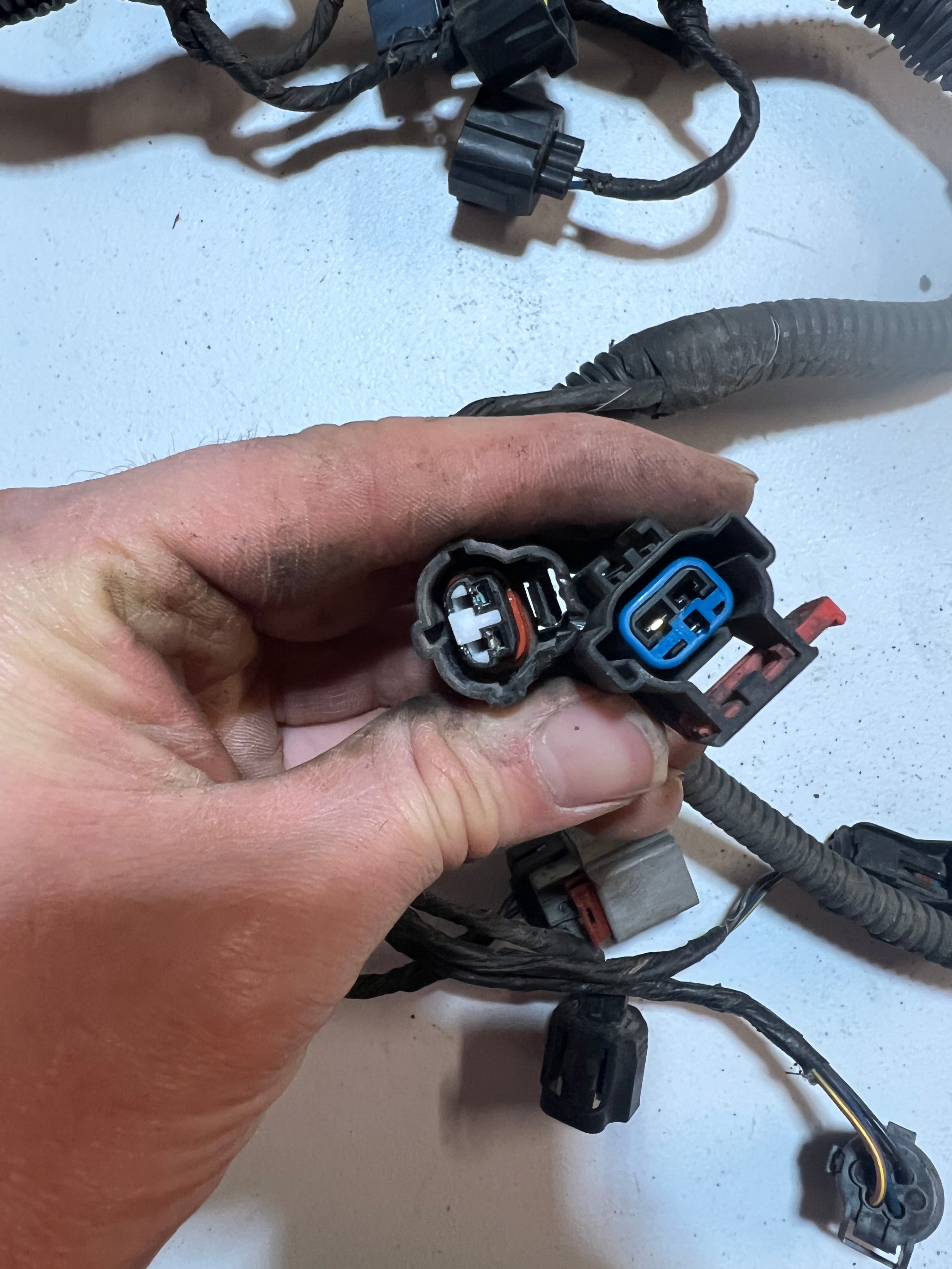 2005-2005 Dodge Ram 1500 4.7L Engine / Transmission Wiring Harness