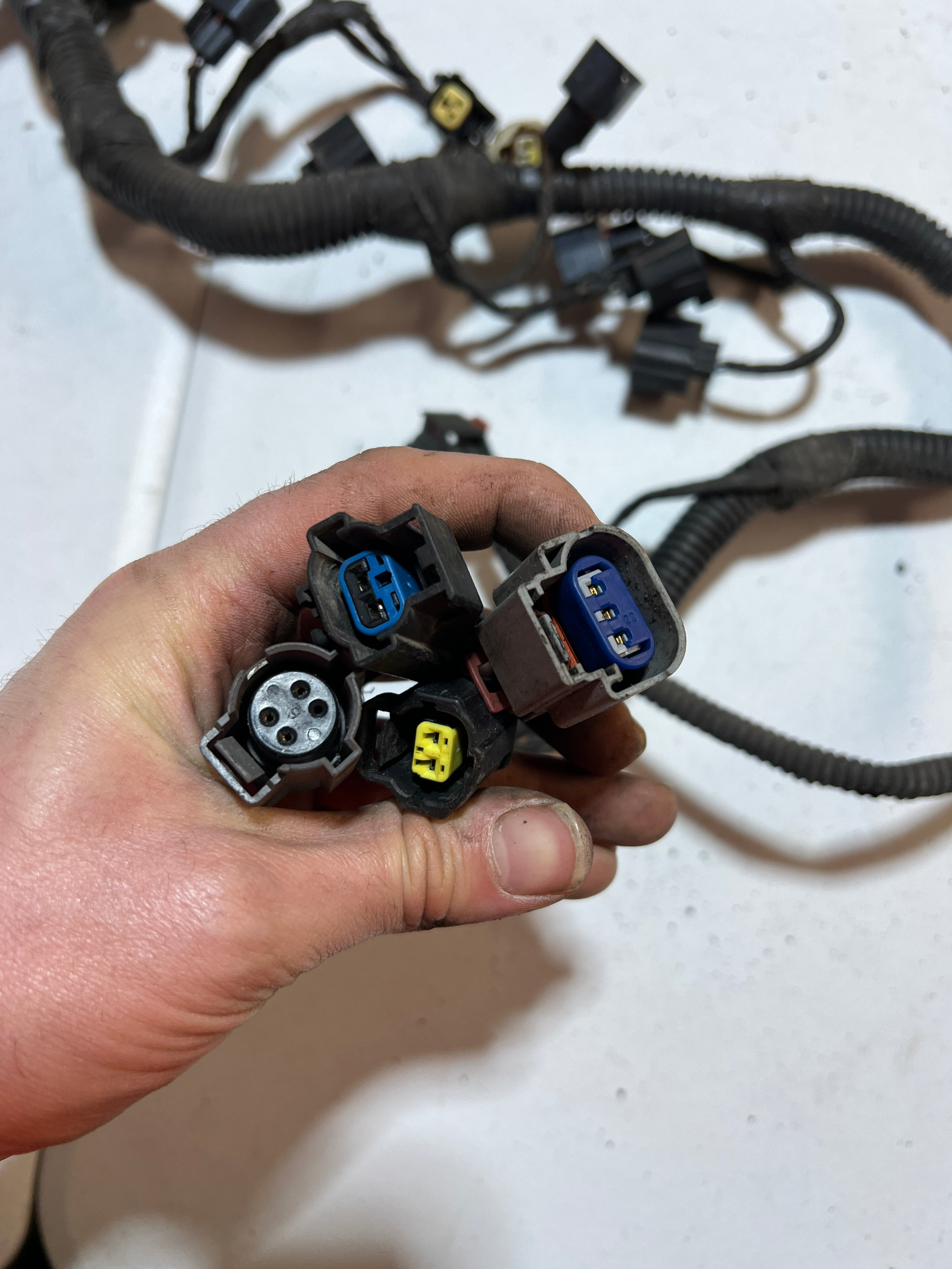 2005-2005 Dodge Ram 1500 4.7L Engine / Transmission Wiring Harness