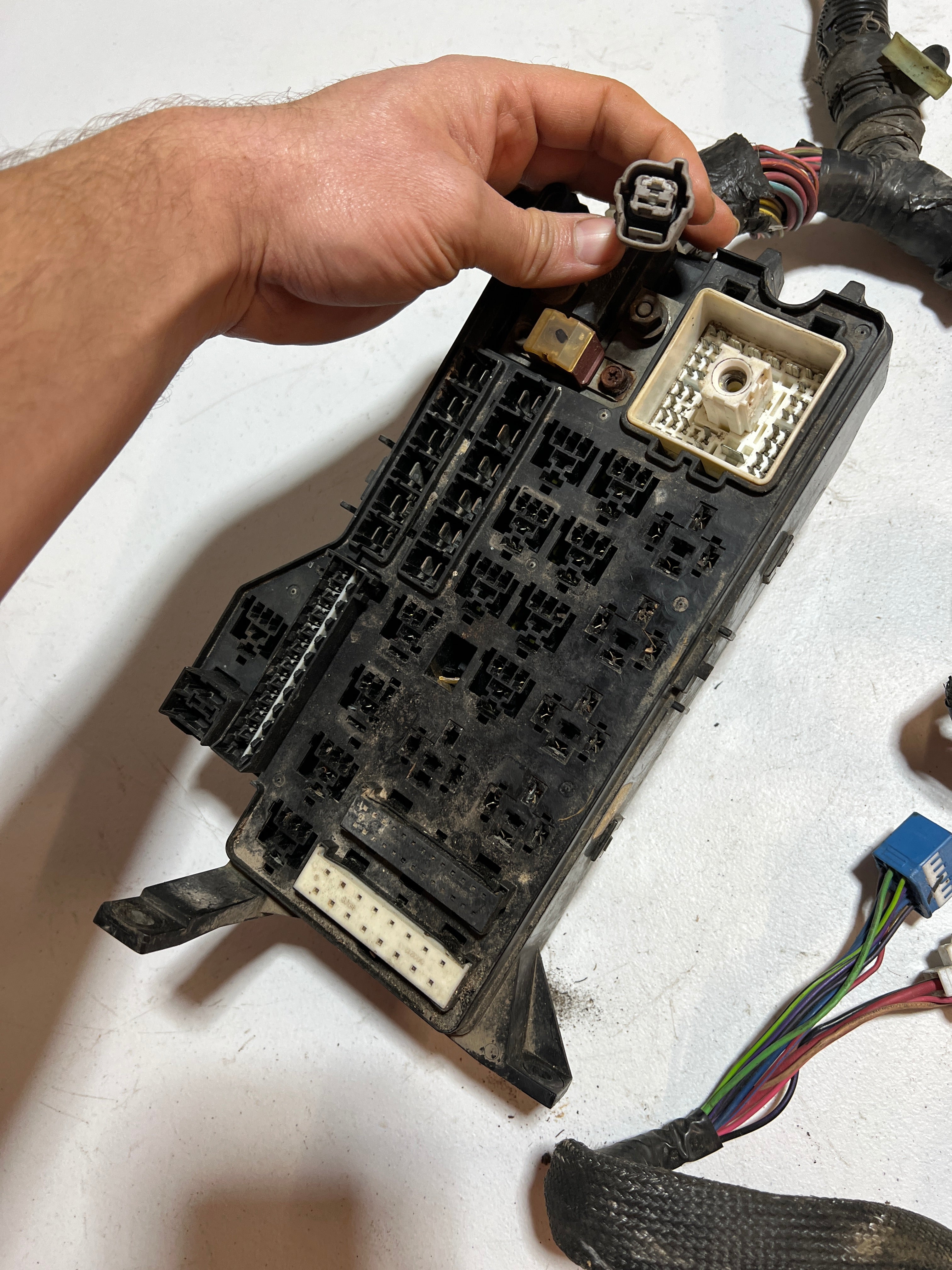 1998-1998 Dodge Ram 2500 3500 12 Valve 5.9L Cummins Engine Bay Wiring Harness