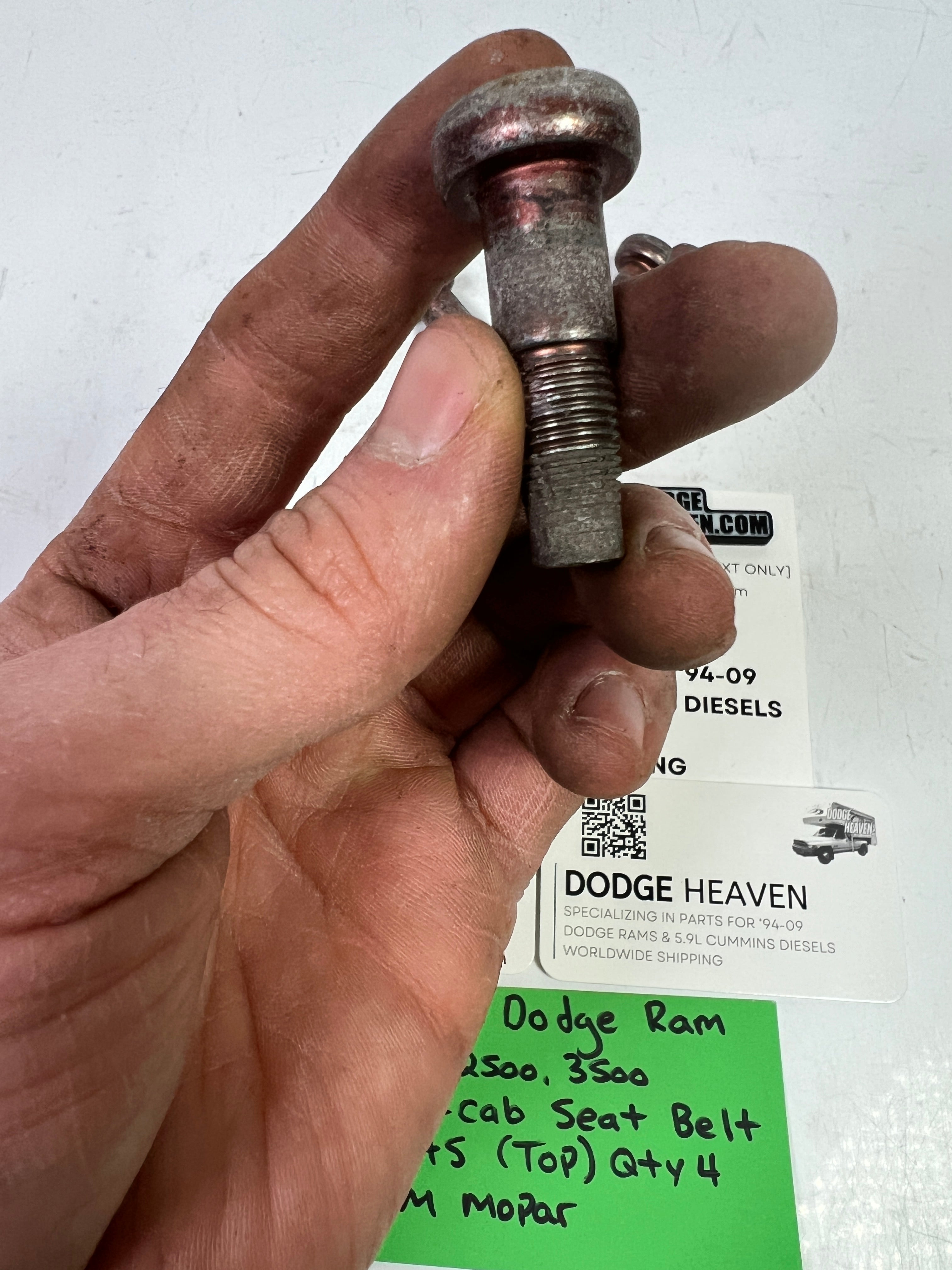 1994-1997 Dodge Ram 1500-3500 Club Cab Seat Belt Bolts (Top) Qty 4